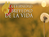 La eternidad y brevedad de la vida <br/><spam>Roberto Torres</spam>