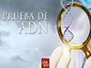 Prueba de ADN <br/><spam>Juan José Campuzano</spam>