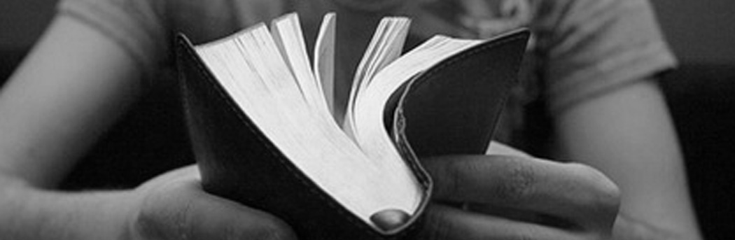 Volvamos al Libro